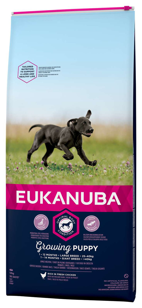 Eukanuba puppy L/XL kylling & ris 12kg, til voksenvægt 25-40+kg
