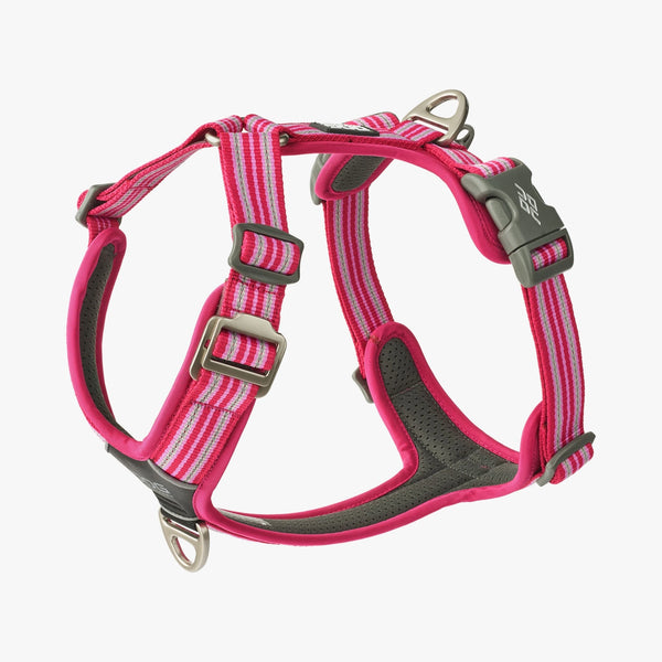 Dog Copenhagen Comfort Walk Air™Wild Rose Hundesele XS-XL