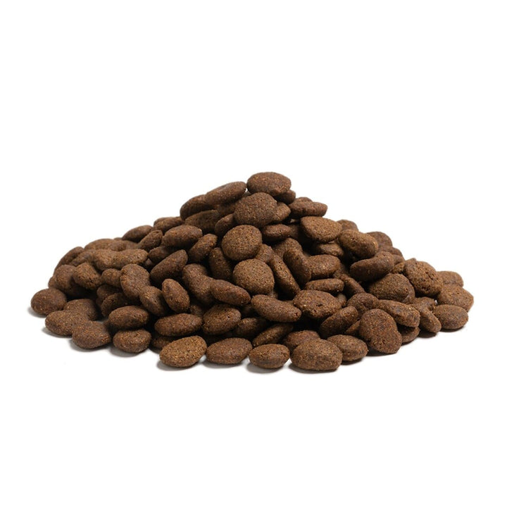 Essential Heartland The Beginning Large Breed Hvalp Kibbel