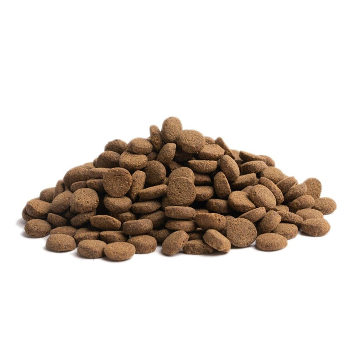 Essential Heritage Contour 10kg Kibbel