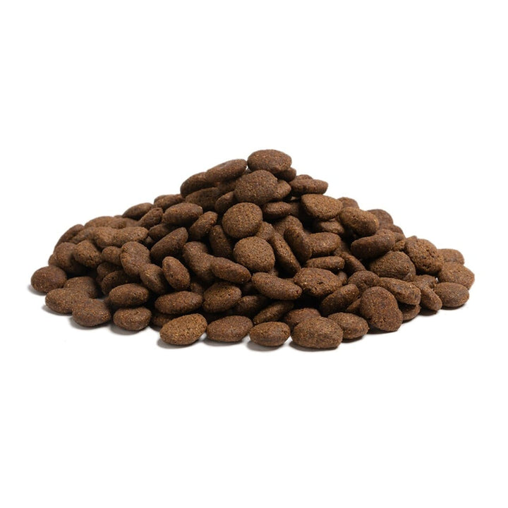 Essential Heritage Large Breed The Beginning Hvalp kibbel