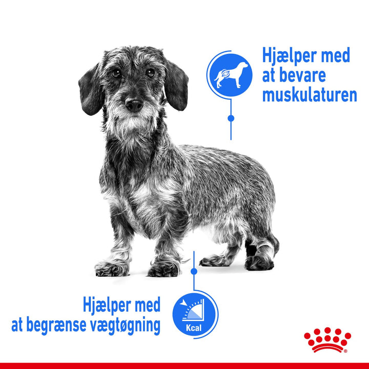 Royal Canin Light Weight Care Adult Vådfoder 12x85g