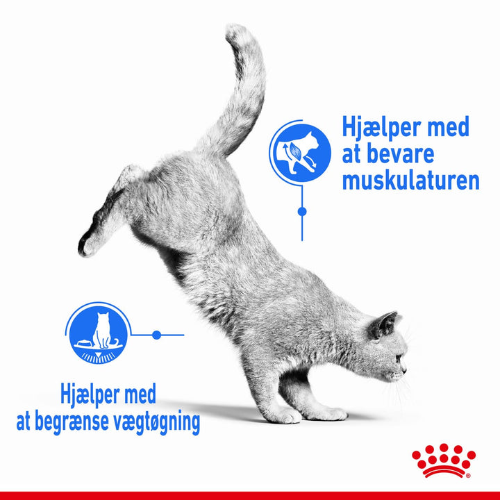 Royal Canin Ultra Light Gravy Adult Vådfoder til kat 12x85 g