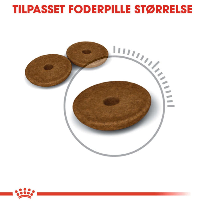 Royal Canin Digestive Care Adult Tørfoder til kat 2kg