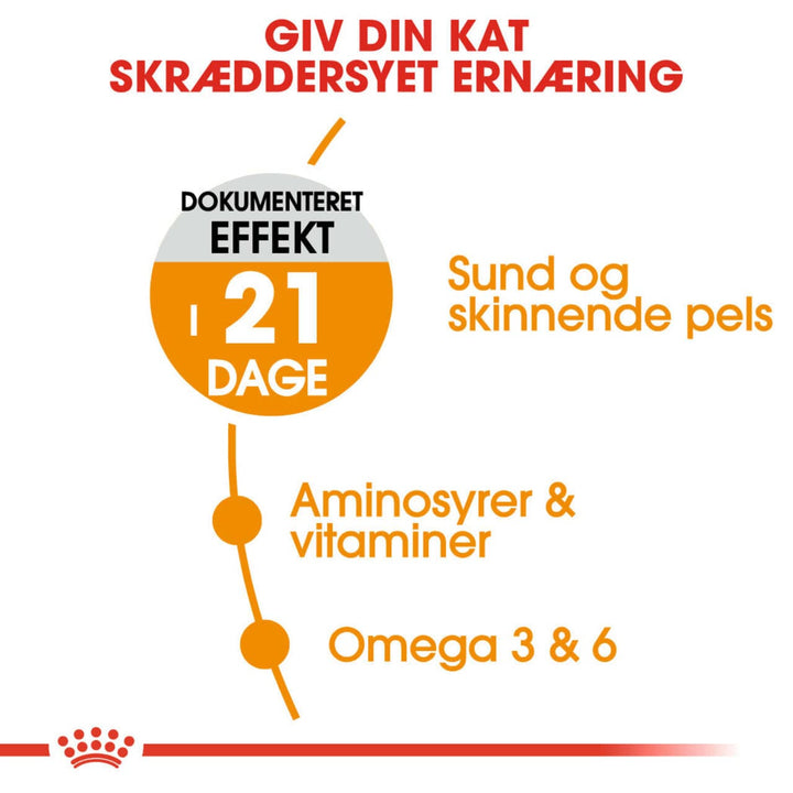 Royal Canin Hair & Skin Care Adult Tørfoder til kat 2kg