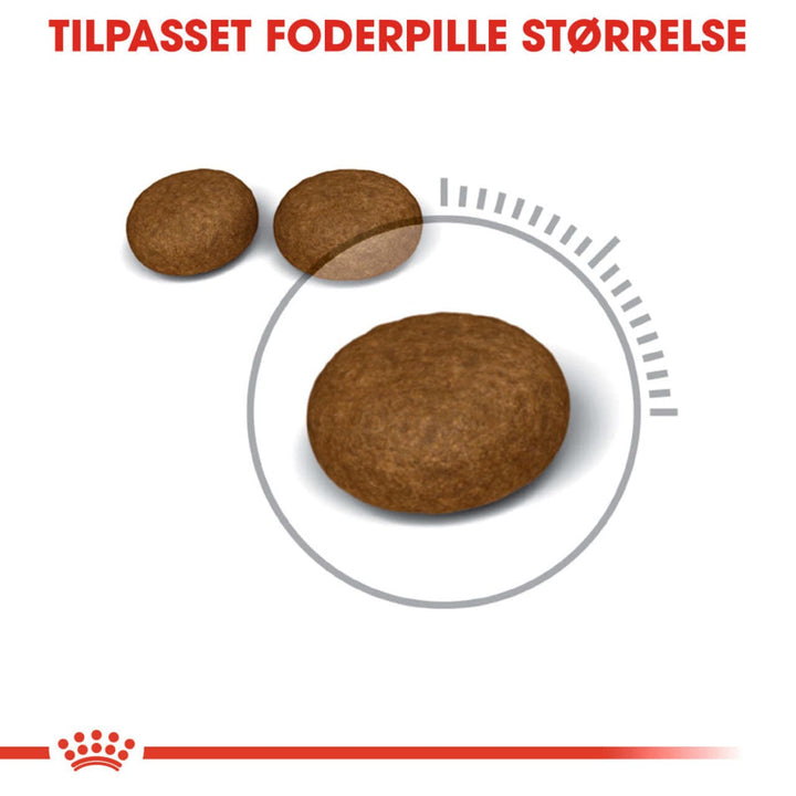 Royal Canin Hair & Skin Care Adult Tørfoder til kat 2kg