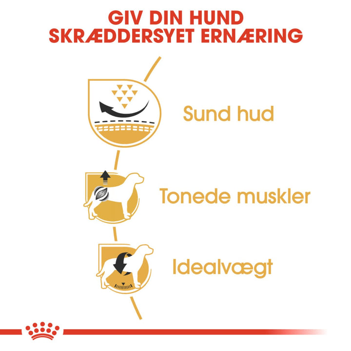 Royal Canin Mops Adult 1,5kg, udviklet specielt til Mops