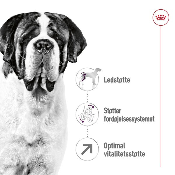 Royal Canin Giant Adult 15kg, til hunde over 45kg Støtter led