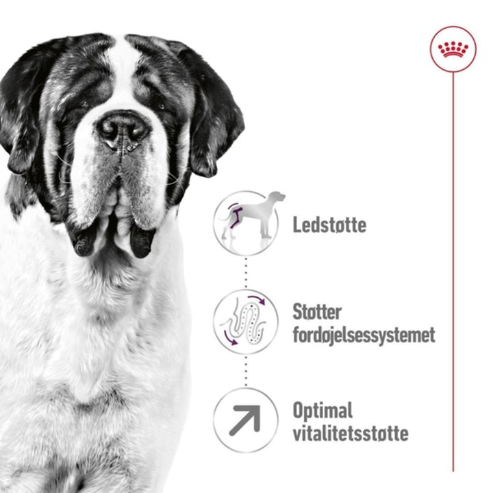 Royal Canin Giant Adult 15kg