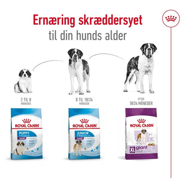 Royal Canin Giant Adult 15kg, til hunde over 45kg til alle aldre