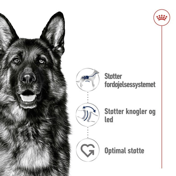 Royal Canin Maxi Adult 10kg, til hunde 25-45kg Støtter hunden