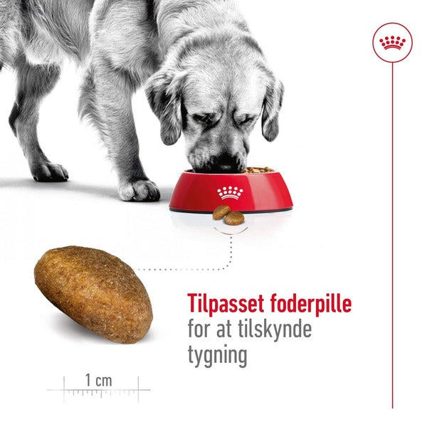 Royal Canin Maxi Adult 10kg, til hunde 25-45kg Tilpasset foderpille