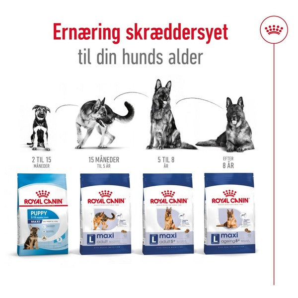 Royal Canin Maxi Adult 10kg, til hunde 25-45kg til alle aldre