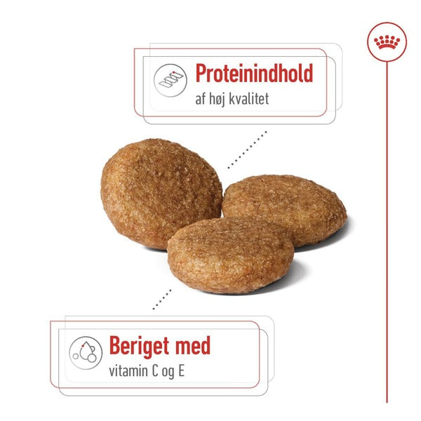 Royal Canin Medium Adult 10kg, til hunde 10-25kg Pillekvalitet