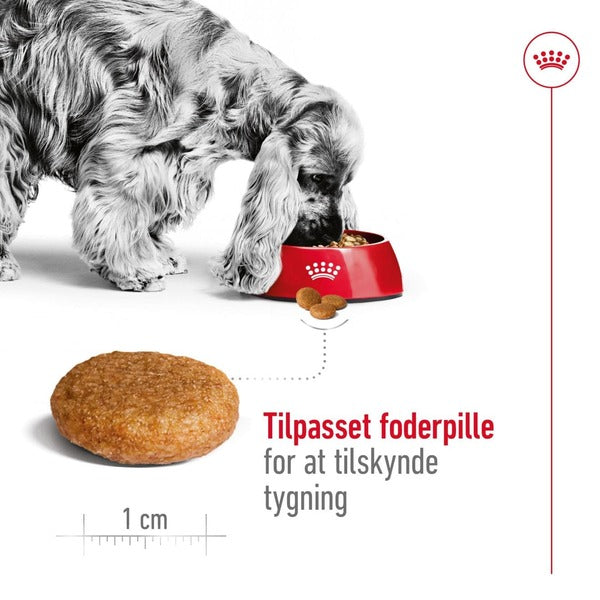 Royal Canin Medium Adult 10kg, til hunde 10-25kg Tilpasset foderpille