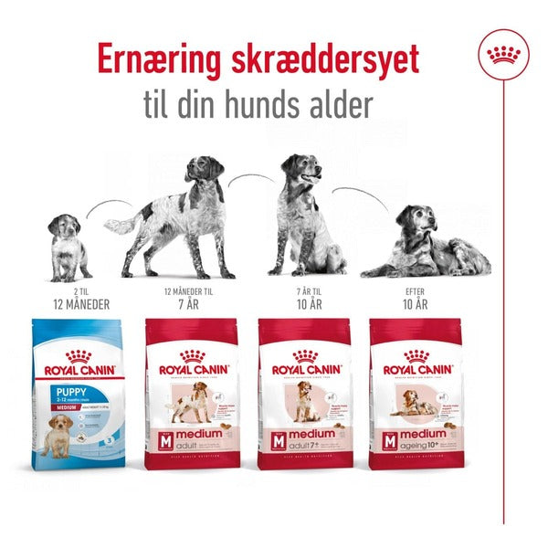 Royal Canin Medium Adult 10kg, til hunde 10-25kg til alle aldre