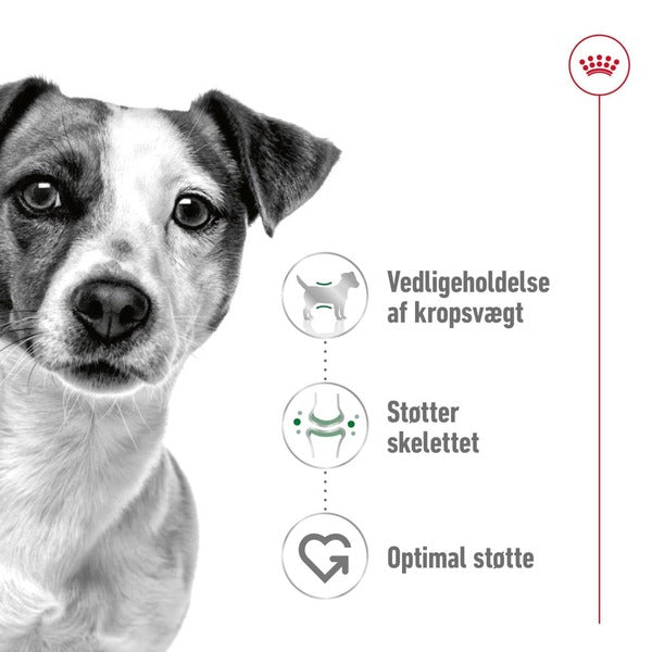 Royal Canin Mini Adult 8kg, til hunde 0-10kg God for din hund