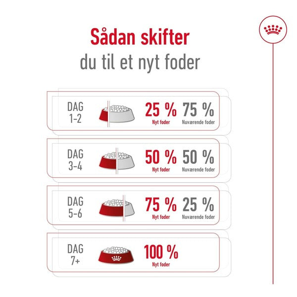 Royal Canin Mini Adult 2Kg, Sådan gør du - foderskifte