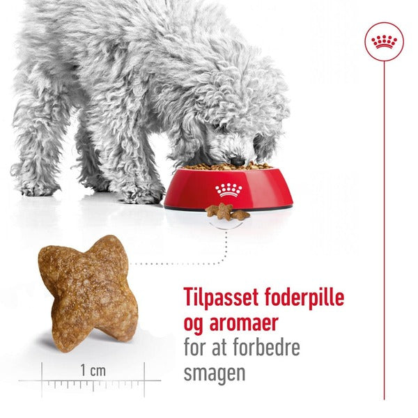 Royal Canin Mini Adult 8kg, til hunde 0-10kg Forbedre smag