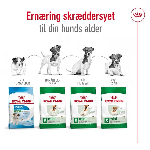 Royal Canin Mini Adult 2Kg, Skift foder efter alder