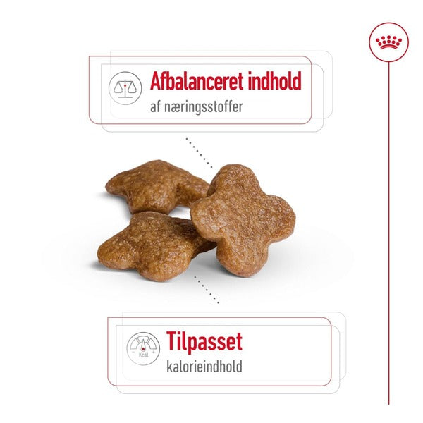 Royal Canin Mini Adult 8+ 2kg, til hunde over 8 år Tilpasset indhold