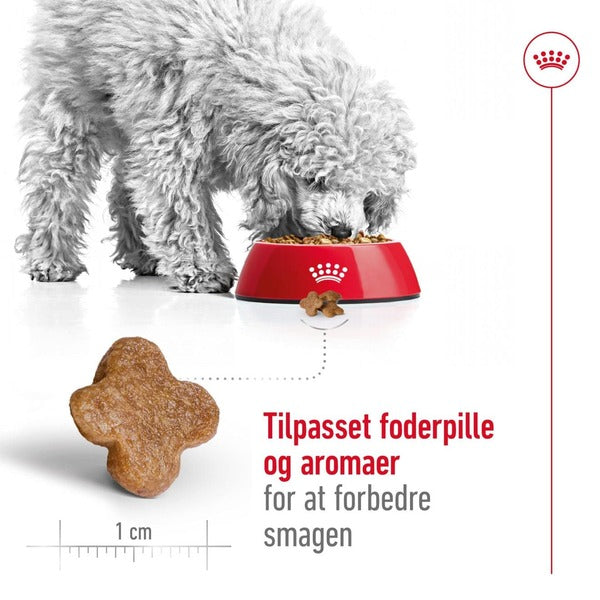 Royal Canin Mini Adult 8+ 2kg, til hunde over 8 år bedre Smag