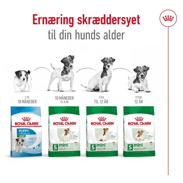 Royal Canin Mini Adult 8+ 2kg, til hunde over 8 år Til alle aldre