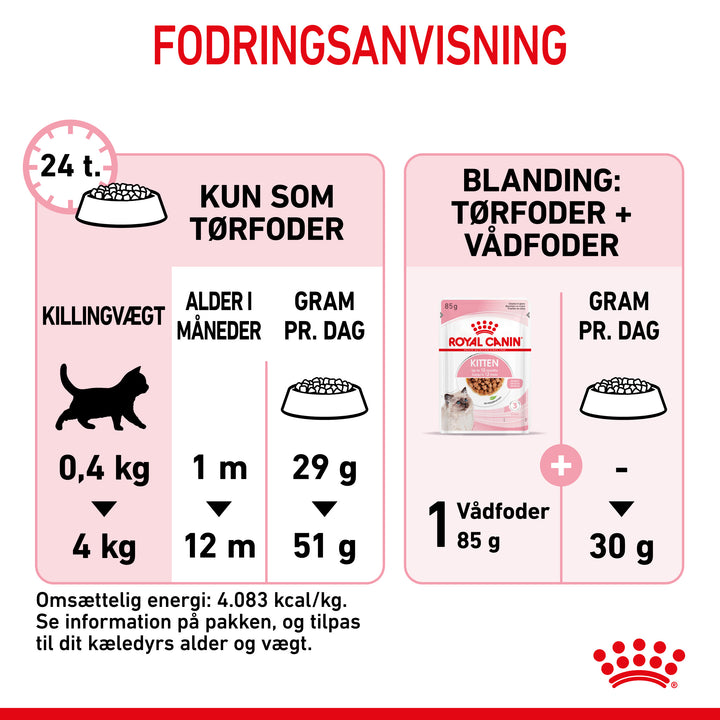 Royal Canin Kitten Tørfoder til killing 10kg – Petpower