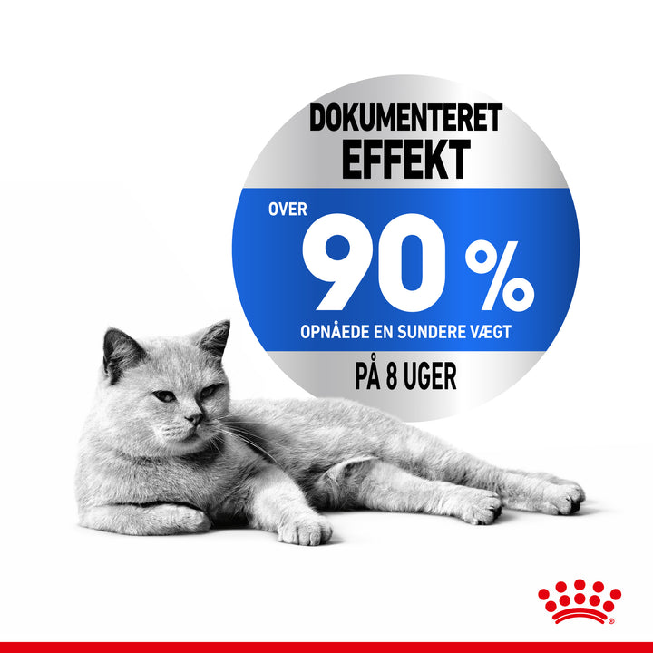 Royal Canin Light Weight Care Adult Tørfoder til kat 8kg – Petpower
