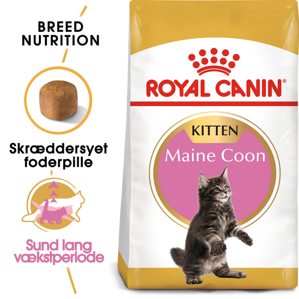 Royal Canin Maine Coon Kitten Tørfoder til Killing 4kg