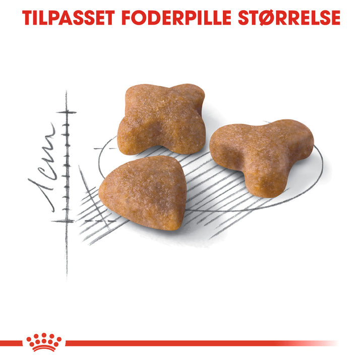 Royal Canin Sensible Adult Tørfoder til kat 2kg – Petpower