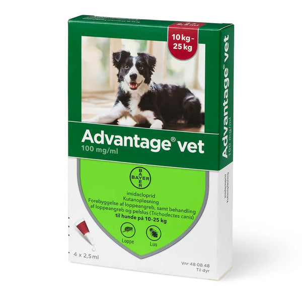 skjold Efternavn lindring Advantage loppemiddel til hund 10-25 kg 4 pipetter – Petpower webshop